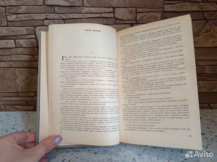 Исай Калашников Жестокий век