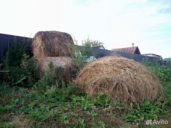 Сено луговое в тюках