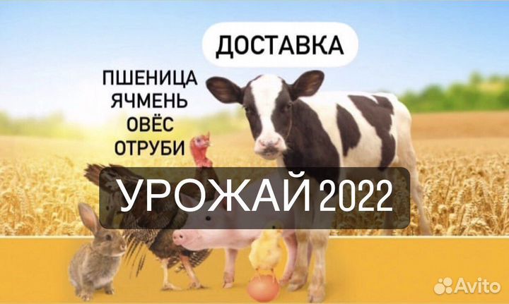 Пшеница, ячмень, отруби, овес, комбикорма