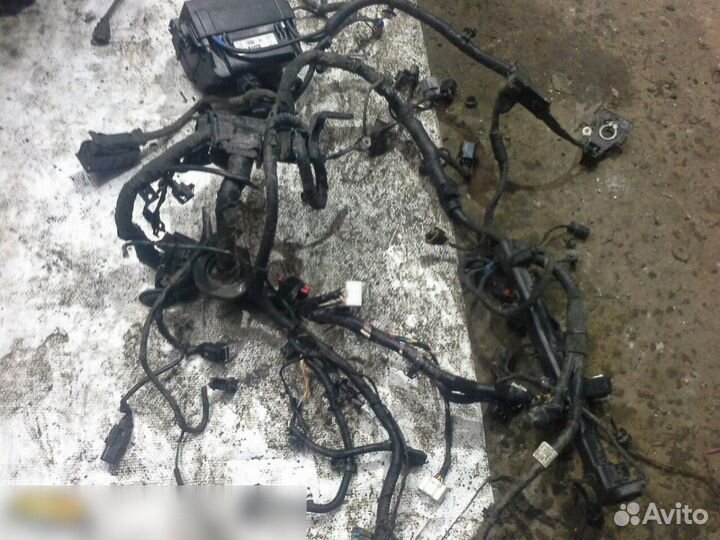 Проводка (коса) Hyundai Solaris Accent IV 2010