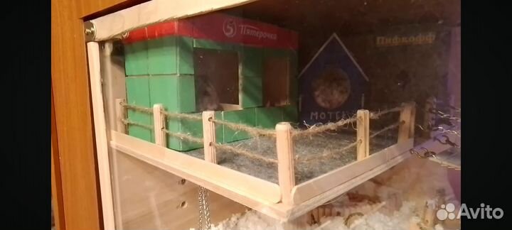 Дом, стеллаж, витрина, клетка для хомяка