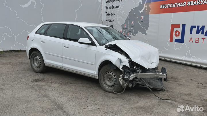 Стекло двери задней левой Audi A3 (8P) 8P4845205B