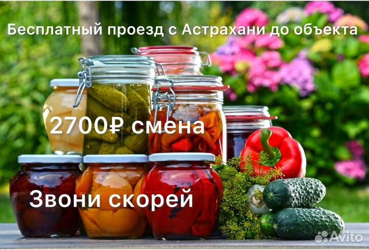 Бесплатный проезд/Фасовщики(цы) Вахта/Краснодар