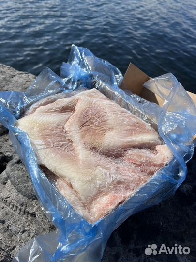 Крылья ската свежемороженые