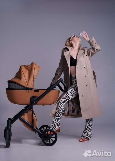 Коляска Anex e type 2 в 1