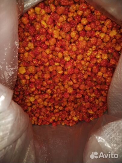 Клюква Брусника Черника Земляника грибы белый