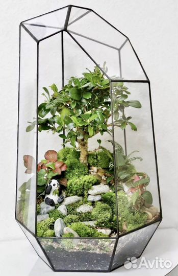 Бонсай флорариум
