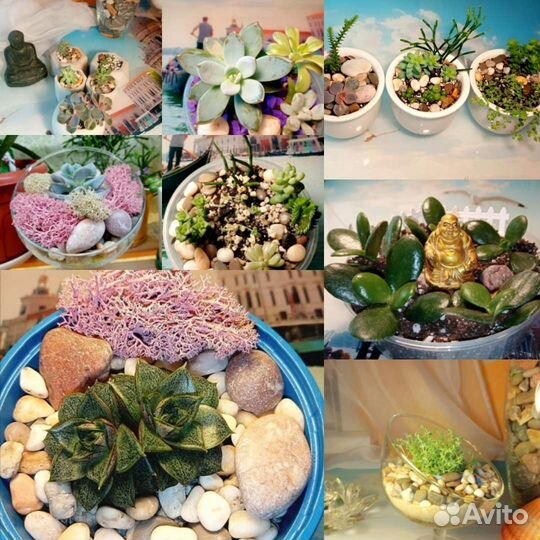 Садики из цветов на заказ