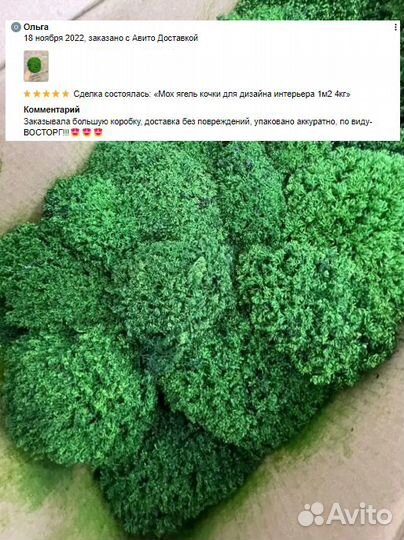 Стабилизированный ягель для стен и кашпо