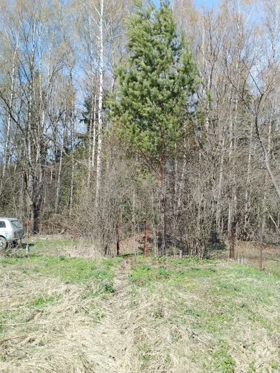 Дача 11 м² на участке 6 сот.