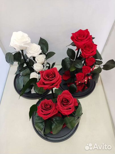 Роза в колбе