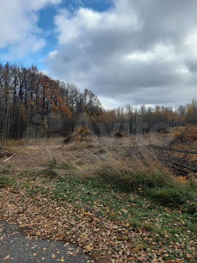 Участок 35 сот. (СНТ, ДНП)