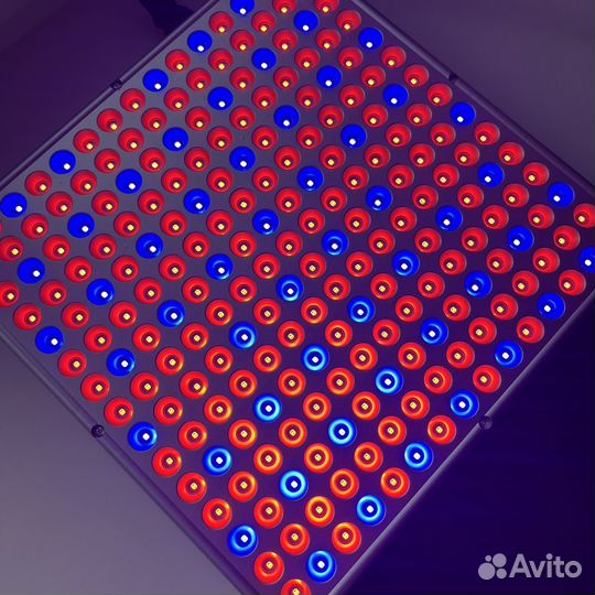 Фитолампа для растений