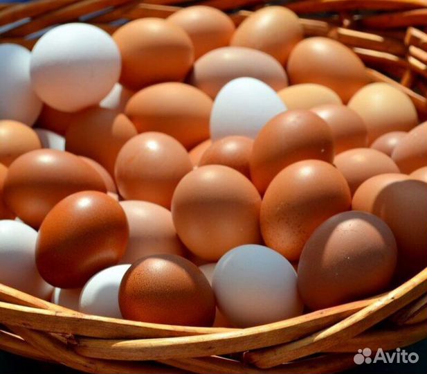 Домашние куриные яйца, молоко, мясо