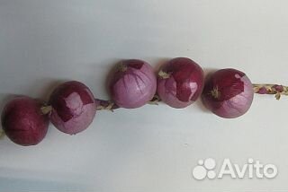 Муляжиовощейифруктов