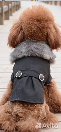 Пальто для собаки