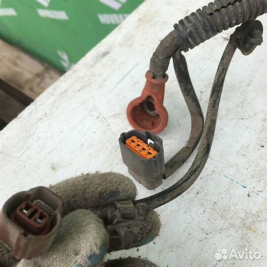 Проводка (коса) Митсубиси Галант 8