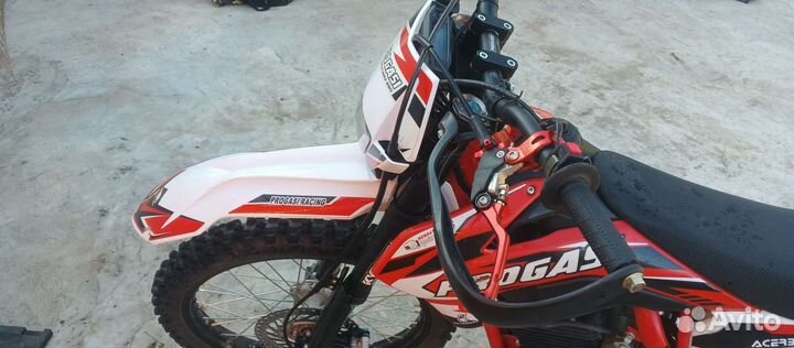 Бодрый Конь