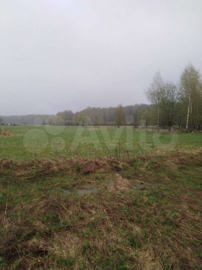 Участок 6 га (СНТ, ДНП)