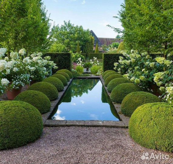 Ландшафтный дизайн. Проект бесплатно