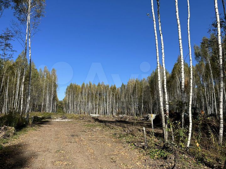 Участок 10 сот. (ИЖС)