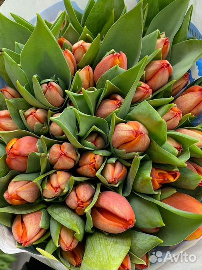 Тюльпаны с доставкой