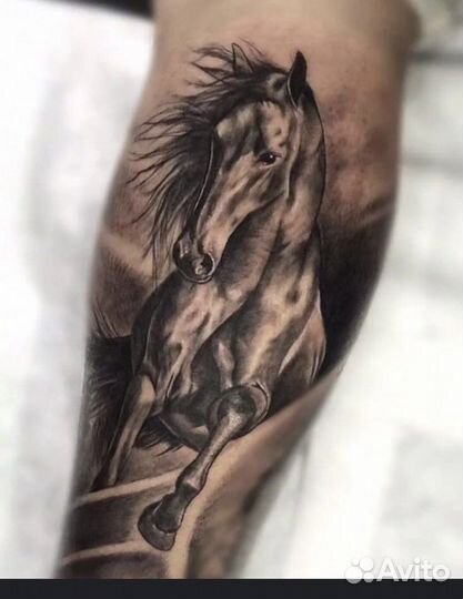 Лошадь Рысак