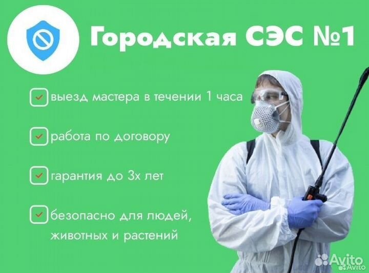 Уничтожение тараканов клопов мышей блох клещей ос