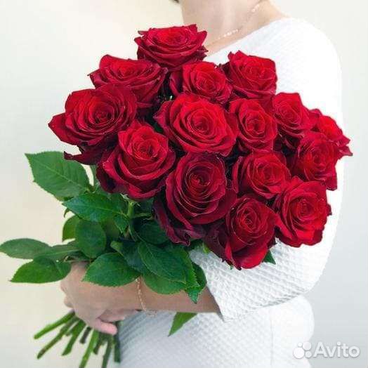 Роза букет 15/25/51/101
