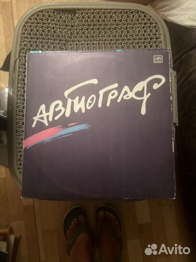 Виниловые пластинки