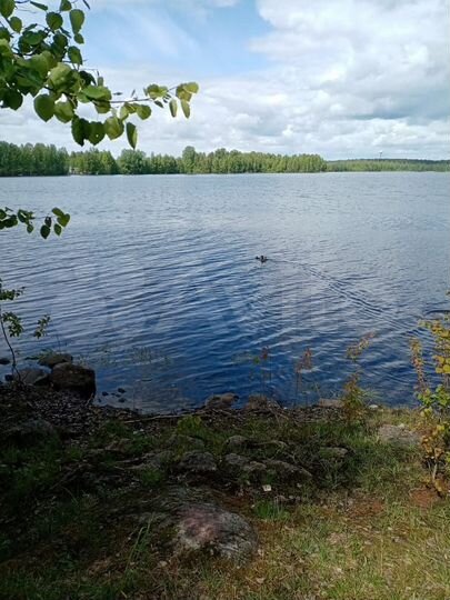 Дом 70 м² на участке 18 сот.