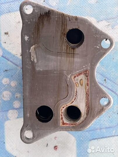 Радиатор масляный 06J117021J