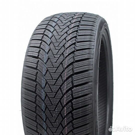 Arivo Winmaster ProX ARW3 205/55 R16 91H