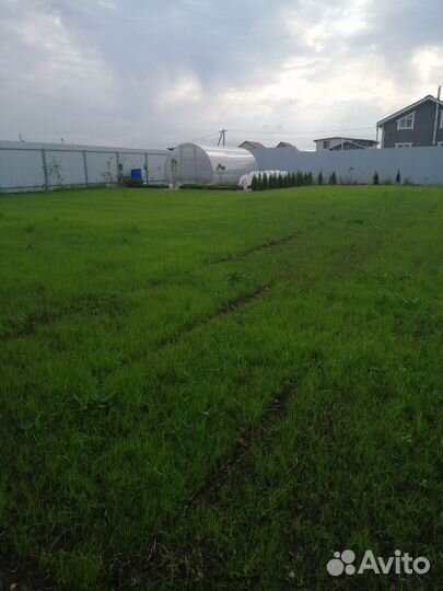 Подготовка посадка газона