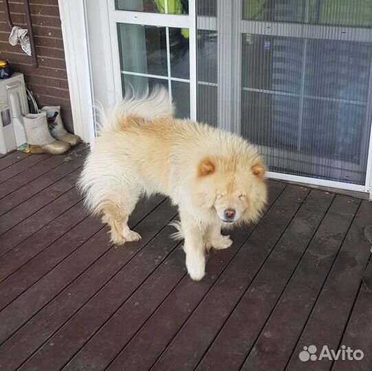 Москитные сетки плиссе