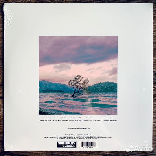 Dayseeker - Sleeptalk LP