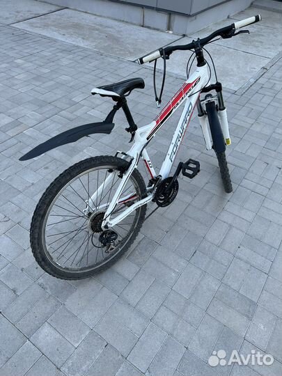 Велосипед горный Forwrad quadro 1.0