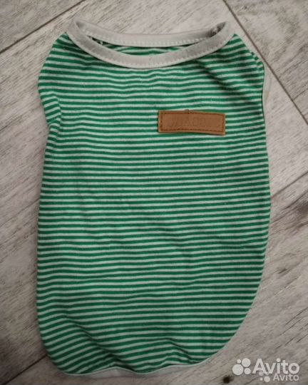 Одежда для маленьких собак