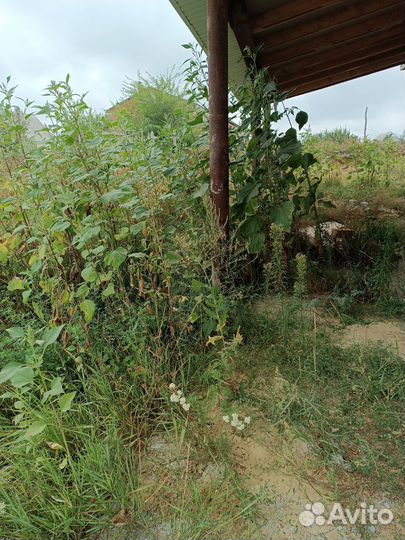 Покос травы, обрезка деревьев и вырубка зарослей