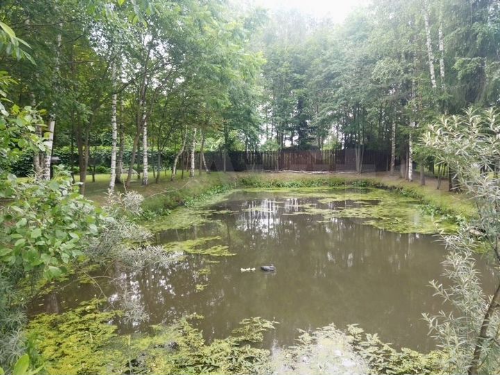 Дом 80 м² на участке 6 сот.