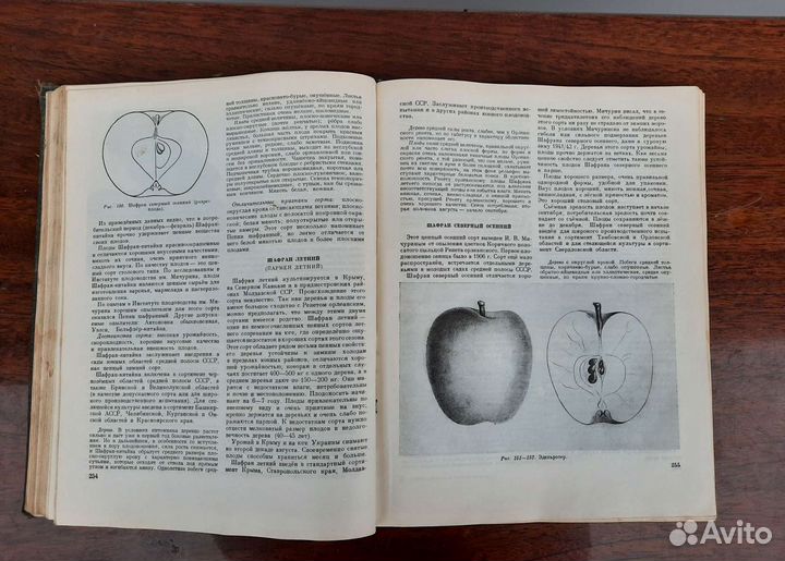 Книга Сорта плодовых и ягодных культур 1953