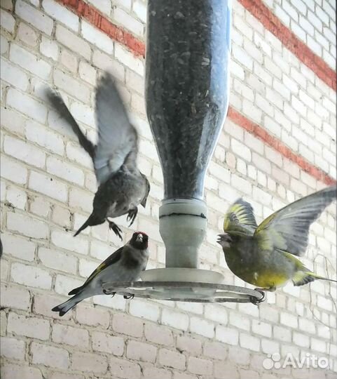 Кормушка для птиц