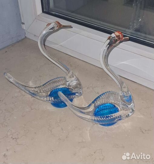 Лебеди, пара