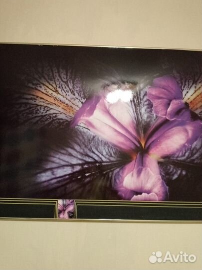 Постер картина IKEA