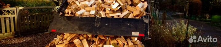 Дрова из леса