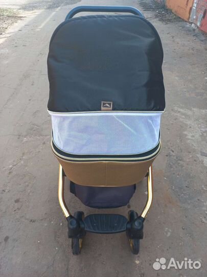 Коляска 2в1 Adamex Reggio (Special Edition Gold)