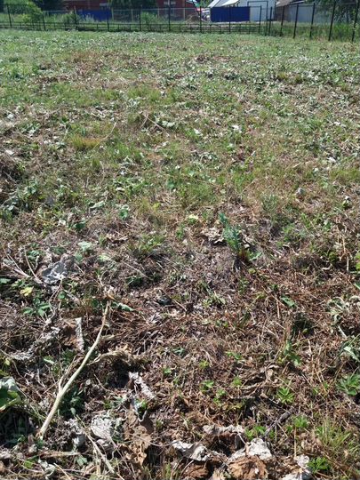 Участок 15 сот. (ИЖС)