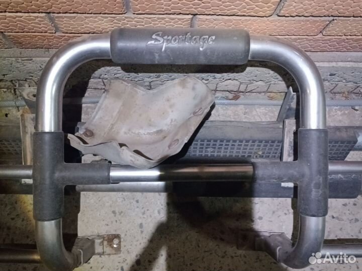 Кингурятник кия спортедж 1
