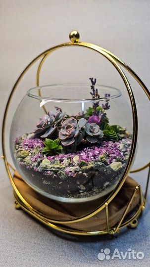 Цветы подарок для женщин