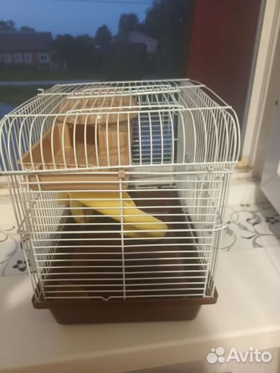 Клетка для хомяка